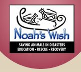 Noah's Wish